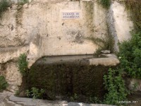 /album/fotogaleria-el-hotel/a8176970380-5214fb658a-o-jpg/